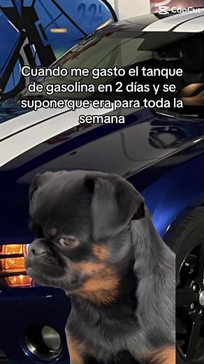 #car #camaro #carros #Chevrolet #humor #memesfunny | Yo soy Ivy