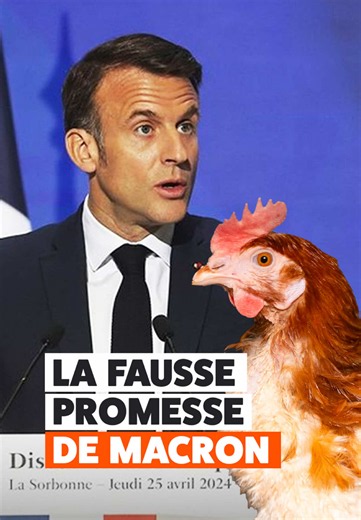 100% d'œufs plein air vendus aux consommateurs à partir de 2022 : c'est la promesse qui nous a été faite par Emmanuel Macron en 2017. 2022 est passée. Puis 2023. 2024 aussi. Et 2025. Aujourd'hui, nous sommes en 2026 et des millions de poules sont toujours enfermées dans des bâtiments sans accès à l'extérieur. Les animaux ne peuvent pas compter sur des promesses non tenues. @Emmanuel Macron il faut AGIR ! Taguez-le dans les commentaires 👉 #L214 #animaux #elevageintensif #emmanuelmacron