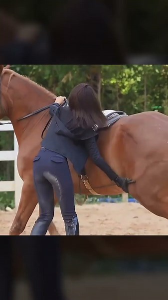 Inside the World of Horse Swimming Pools 😱