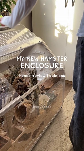 Aesthetic Hamster Enclosure Review for Pet Owners