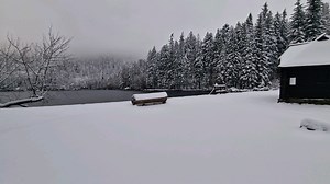 131K views · 8.8K reactions | Krásné pondělní ráno od Černého jezera ❄️ Přes noc napadlo 5cm nového sněhu a tak pokračuje vánoční atmosféra  #welovesumava | WeLoveŠumava | Facebook