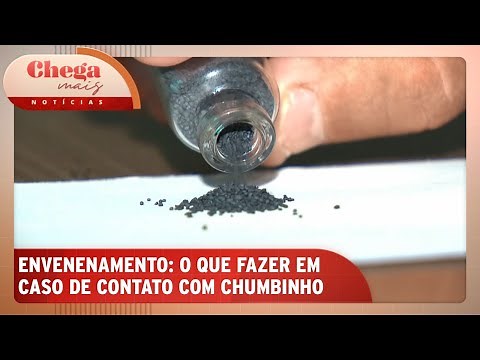 Toxicologista explica efeitos do chumbinho no corpo humano | Chega Mais Notícias (22/10/24)