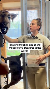 2.4K views · 402 reactions | Despite being the only living relative...