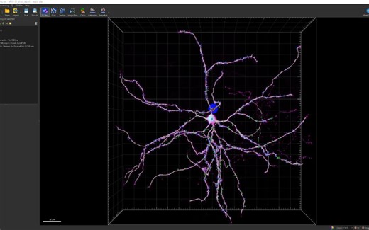 显微三维影像分析软件Imaris 9.9/10.0/10.1软件介绍及演示