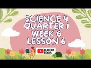 Science 4 | Quarter 1 Lesson 6 Week 6 | Environmental Issues