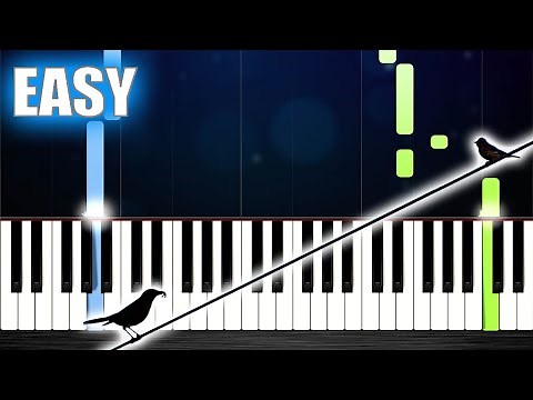 Regina Spektor - Two Birds On a Wire - EASY Piano Tutorial