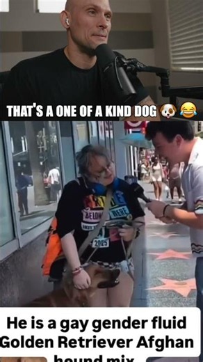 That's a one of a kind dog 🐶 😂