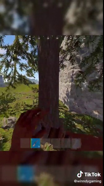 Rust Game Play Compilation