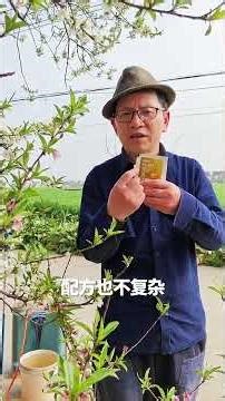 桃树每年都遭虫害吗？现在改变你的方法