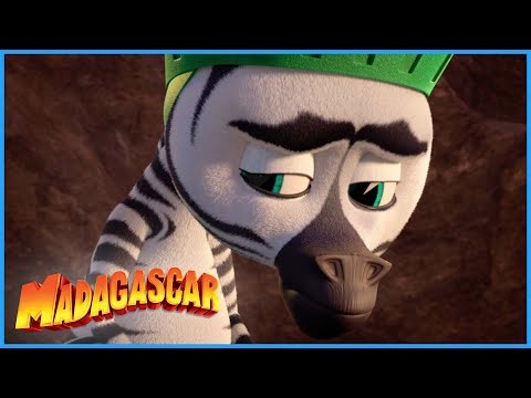 The animals comfort Marty | DreamWorks Madagascar