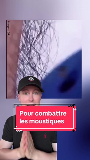 Astuces naturelles pour lutter contre les piqûres de moustiques