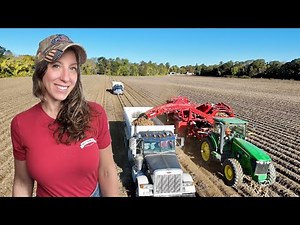 POTATO HARVEST! 3 Million Pounds In Storage! 2M To Go! Oct 2025