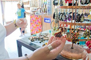 How to Identify and Avoid Sea Turtle Shell Souvenirs