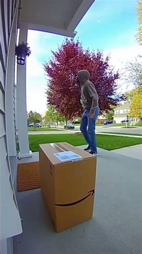 Talking Box WARNS Package Thief! (Caught RED-HANDED!)#shorts #prank