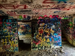 Hotel California Trail Guide – Land Between the Lakes National Recreation Area