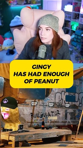 does not sound like theburntpeanut to me #gingy #theburntpeanut #arcraiders #gaming #shorts