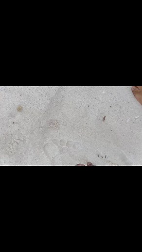 Muizenberg Beach Huts Repair and Save enjoying the breeze in Cape Town | Bridget Zulu