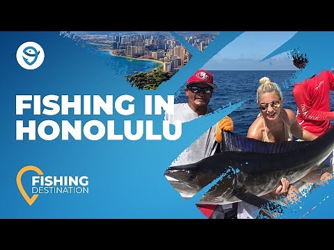 Honolulu Fishing: An Angler’s Guide