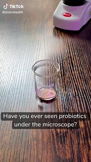 BIOHM Total Probiotic under the microscope 🔍 We worked with Tardibabe to get these awesome images of BIOHM Total Probiotic! #probiotic #microscope #guthealth
