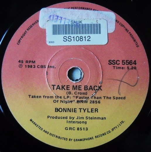 Bonnie Tyler - Take Me Back