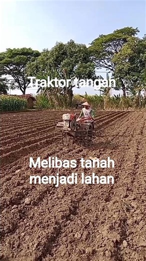 Traktor tangan 💫💫💫 membajak lahan siap tandur
