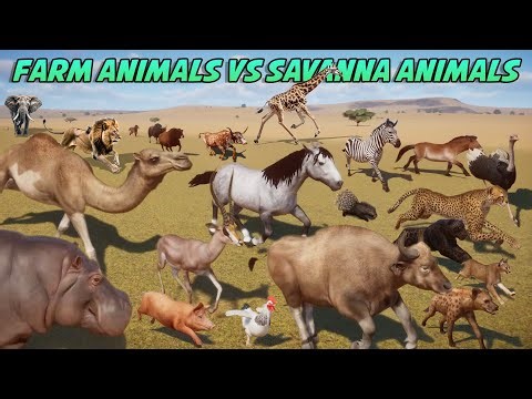 100 Animals VS 100 Animals in Planet Zoo All Episodes, Included Elephant, Giraffe Live Stream #47