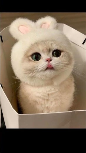 “The 8 Most Beautiful Photos You Must See”