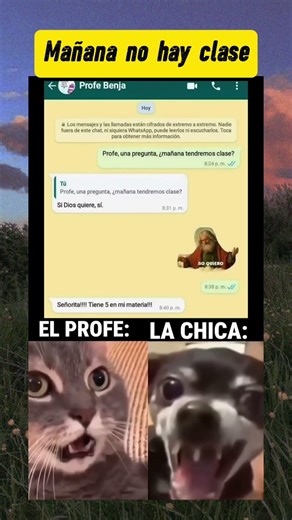 No hay clases 👌 #shorts #viral #memes