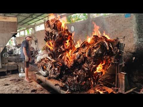 Extreme Wood Cutting | Turning a Giant Tree Stump Into Valuable Timber