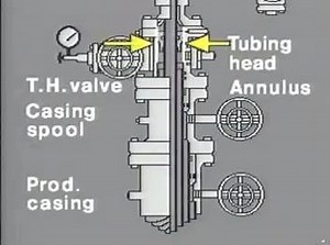 "Christmas tree" #nationaloilfield | National Oilfield Tool