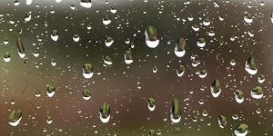 FIRST ALERT WEATHER: Government and business closures