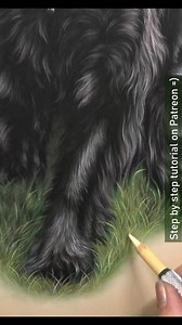 When I was new to drawing, I found drawing realistic grass really difficult. It's so easy for it to become flat and every blade of grass ended up looking the same. The more I practiced the more I found a way I preferred to use the pencils. It soon became something that I enjoyed rather than becoming stressing about. A couple of tips for drawing grass in pastels is I recommend to use at least three greens but ideally 5-6. This will ensure there is variety in the grass. As well as that you want to