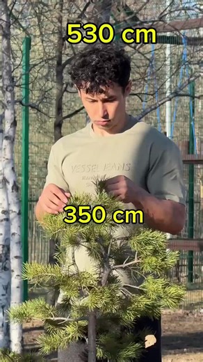 Grow tall tutorial 🗿😂