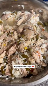 The shelter dogs love thier chicken, rice, and veggies ❤️ #food #dog #chicken #love #animals | Judith Coleman