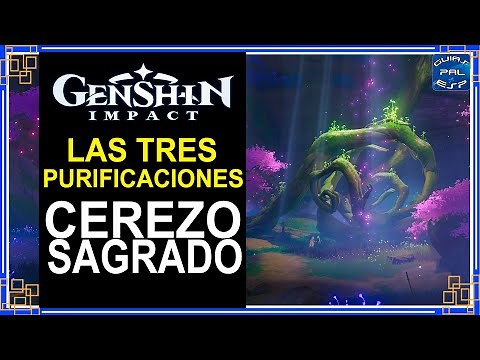 Completa la Purificación del Cerezo Sagrado - Genshin Impact