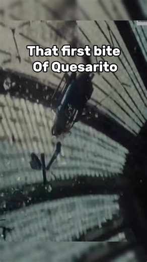 Taco Bell bringing back the quesarito was top 5 things ever #tacobell | Taco Bell Brings Back The Quesarito