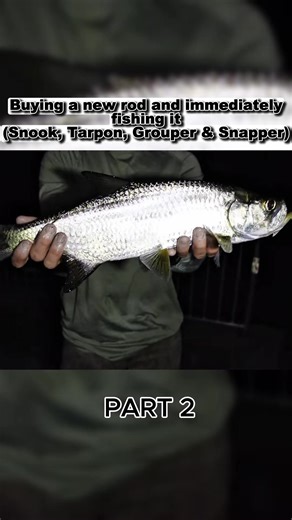 Fishing with New Rod: Snook, Tarpon, Grouper & Snapper