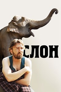 Stream Elephant (2010): Find it on Netflix, Prime Video, Hulu & more