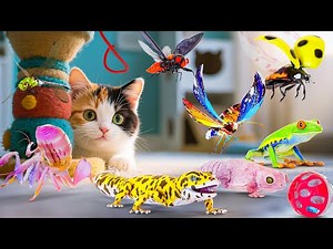 Ultimate CAT GAMES Compilation | 3D Game For Cats To Watch | CAT TV For Feline Friends 😻 4k 60FPS