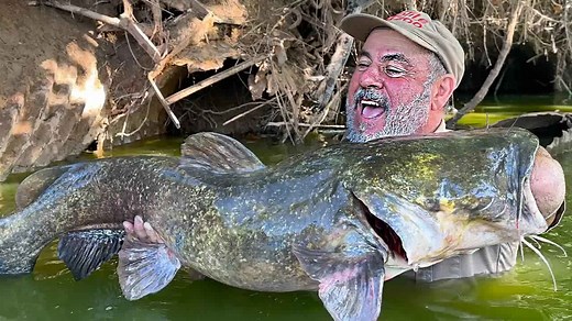 NOODLING MASSIVE CATFISH w/ @AdrenalineRushAdventures Pt. 1