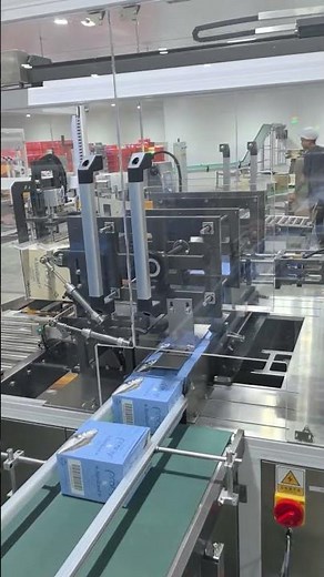 Automatic Case Packing Machine /Automatic Case packer machine