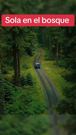 The engine turned off... and the forest was completely silent 😱 #movie #fyp #movierecommendation #movieclips #moviescene