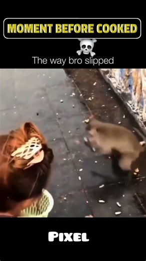 The way bro sleep 😭😂#trollface#edits