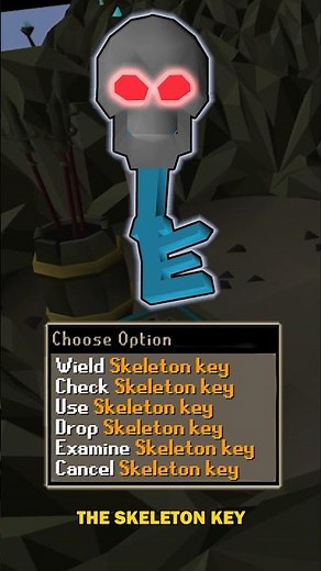 This Key Opens Every Lock