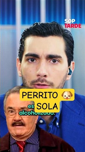 Pedro Sola vs. Dogs: He Wants to Poison Them | JULIÁN MAZOY on SDPtarde 🌤️