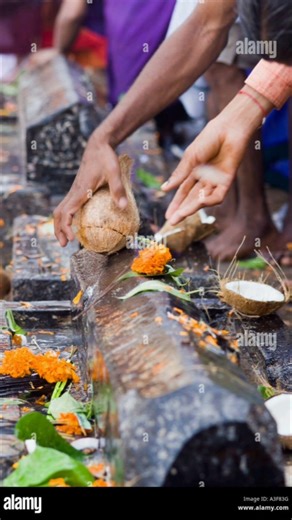 అంతా మంచే జరగాలని కోరుకుంటూ మనం కొట్టే కొబ్బరికాయ కుళ్ళితే బాధపడకూడదు అంతా దైవ సంకల్పమే 🙏