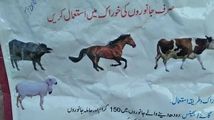 Goat Farming Questions // بکری فارمنگ کے سوالات | Goat Land Farms | Facebook