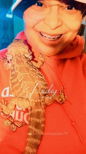 Frankie Adams on Reels