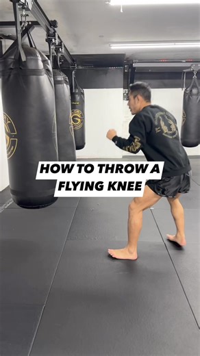 9K views · 170 reactions | How to throw a flying knee! ✅ What other tutorials do you want to see? | MMAShredded | Facebook