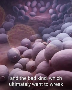 Low energy?? 🥱 Try Morning Complete TODAY ☀️ for supercharging fiber, reduced bloating, and improved energy! ⚡️ ✅ Vegan Friendly 🐄 Dairy Free 🙌 Over 2.4 MILLION jars sold 💰 Not satisfied? Get your money back within 90 days! 📅 Tap here to get Morning Complete now 👉 https://bit.ly/3hIkpZV | ActivatedYou